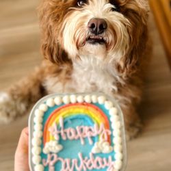 Momo's birthday!!
