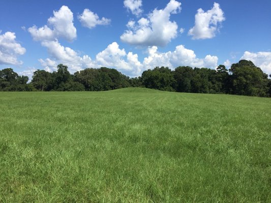 Emerald Mound by null