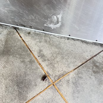Cook Out - Roach heading to the bathroom - Barbeque Near Me - Columbus, Georgia