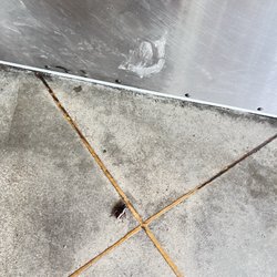 Cook Out - Roach heading to the bathroom