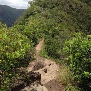 Waʻahila Ridge State Recreation Area - Hiking Near Me - Honolulu, Hawaii Waʻahila Ridge State Recreation Area - Hiking Near Me - Honolulu, Hawaii