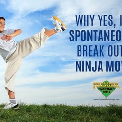 Premier Martial Arts Lancaster