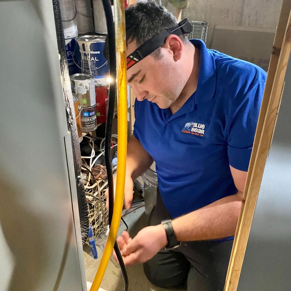 Slide of Blue Bear Plumbing Heating & Air