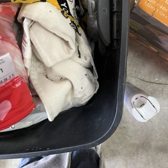 CubeSmart Self Storage - Mouse droppings in a storage container. - Self Storage Near Me - Hyattsville, Maryland