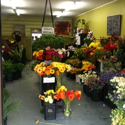 Flowers On Onewa - Beautiful Flowers on Onewa