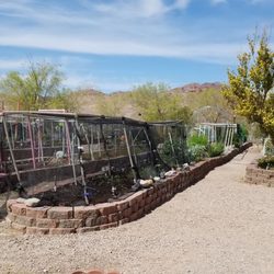 The gardens with Red & Black Mountain in the background.