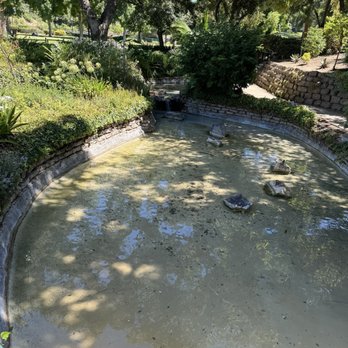 Penn Park - Pond - Parks Near Me - Whittier, California