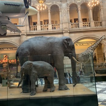 Kelvingrove Art Gallery & Museum - Museums Near Me - Glasgow, GLG