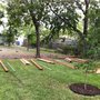 Photo of G E M lawns & Trees