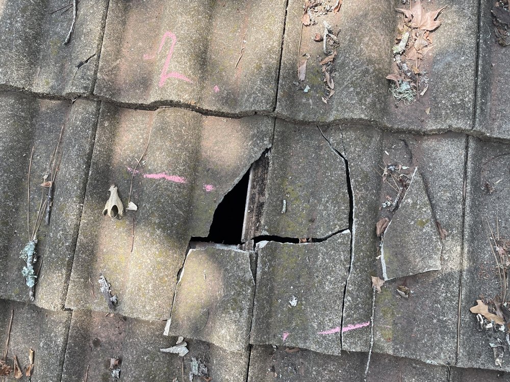 Slide of Texas Real Property Consultants