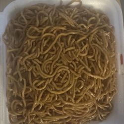 Main Moon - Plain lo mein