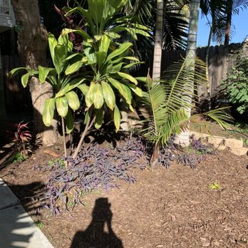 G I Junk Away - Our landscaping looks alive again. - Junk Removal & Hauling Near Me - Fallbrook, California