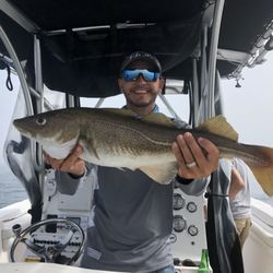 Reely Hooked Fishing Charters - Cod (catch and release)