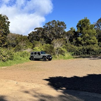 Awa'awapuhi Trail - Hiking Near Me