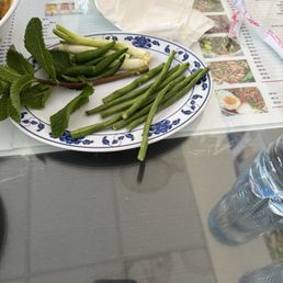 Veggies and herbs.