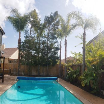 Galvan Tree Services - After - Tree Services Near Me
