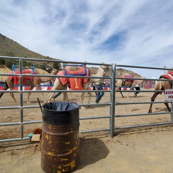 Virginia City Fairgrounds - Stadiums & Arenas Near Me - Virginia City, Nevada