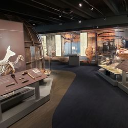 Oshkosh Public Museum