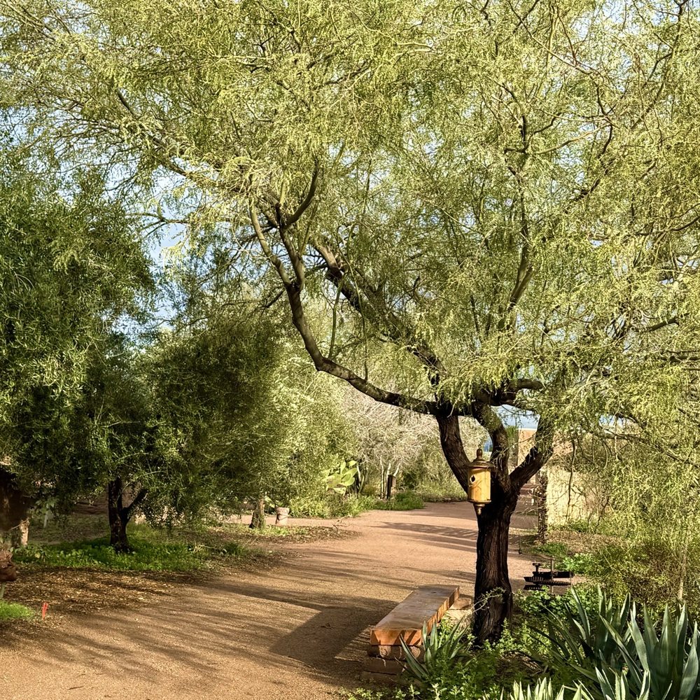 Mission Garden - Parks Near Me - Tucson, Arizona Mission Garden - Parks Near Me - Tucson, Arizona