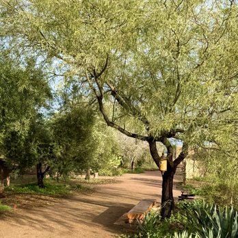 Mission Garden - Parks Near Me - Tucson, Arizona Mission Garden - Parks Near Me - Tucson, Arizona