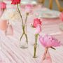 Photo of DACAL Events