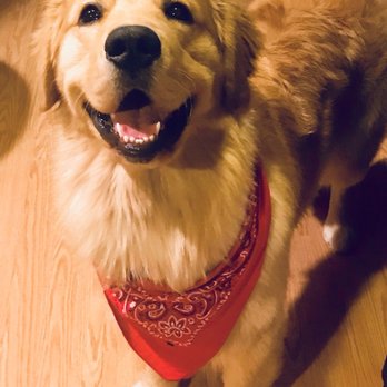 Preferred by Pets - Pet Groomers Near Me - San Diego, California Preferred by Pets - Pet Groomers Near Me - San Diego, California