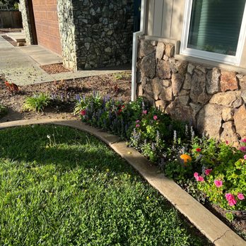 Chico Yard & Pool - Landscaping Near Me - Chico, California Chico Yard & Pool - Landscaping Near Me - Chico, California