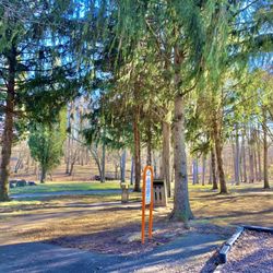 Waterworks Park - Waterworks Park