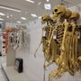 Photo of Target