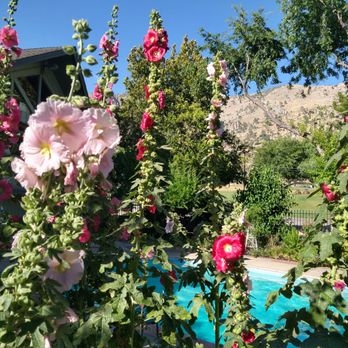 Piazza's Pine Cone Inn - Beautiful garden - Hotels Near Me - Kernville, California