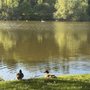 Photo of Upper Queens Park