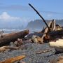 Photo of Rialto Beach