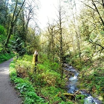Macleay Park - Parks Near Me - Portland, Oregon Macleay Park - Parks Near Me - Portland, Oregon