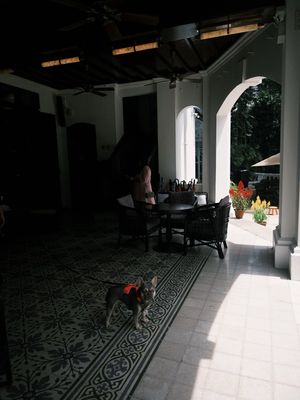 The Alkaff Mansion by null