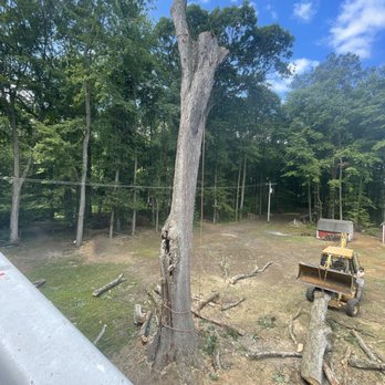 Bertram’s Tree Service - Tree Services Near Me Bertram’s Tree Service - Tree Services Near Me