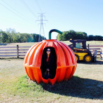 Gene The Pumpkin Man - pretty sure that's for kids - Pumpkin Patches Near Me - Kalamazoo, Michigan
