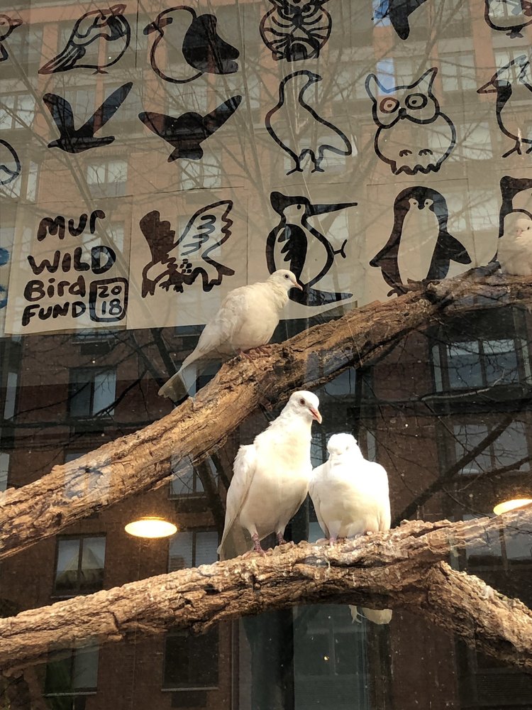 WILD BIRD FUND 24 Photos & 37 Reviews 565 Columbus Ave, New York, NY Yelp