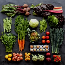 Spade & Plow Organics