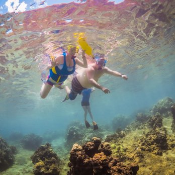 Teralani Sailing Adventures - Underwater photography. Don't be a cheapskate! Buy the photos! - Boating Near Me - Lahaina, Hawaii Teralani Sailing Adventures - Underwater photography. Don't be a cheapskate! Buy the photos! - Boating Near Me - Lahaina, Hawaii