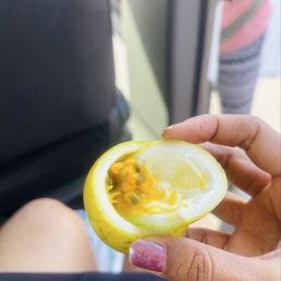 Our tasty parting gift - passion fruit. Never had that before in fruit form. Its sour and juicy and soo refreshing! Thanks to Brian Our tasty parting gift - passion fruit. Never had that before in fruit form. Its sour and juicy and soo refreshing! Thanks to Brian