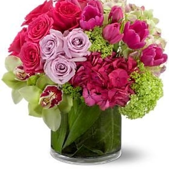 James Hurley Designs - Floral - Events - Interiors - Florists Near Me - Atlanta, Georgia James Hurley Designs - Floral - Events - Interiors - Florists Near Me - Atlanta, Georgia