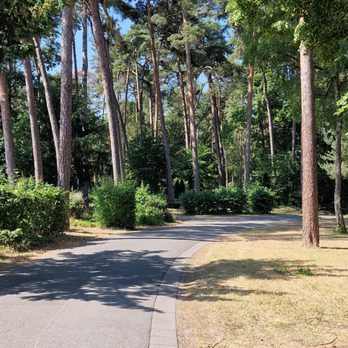 Waldfriedhof - Funeral Services & Cemeteries Near Me - Mainz, RP