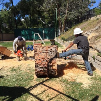 Kings Tree Service - Tree Services Near Me - Sylmar, California Kings Tree Service - Tree Services Near Me - Sylmar, California