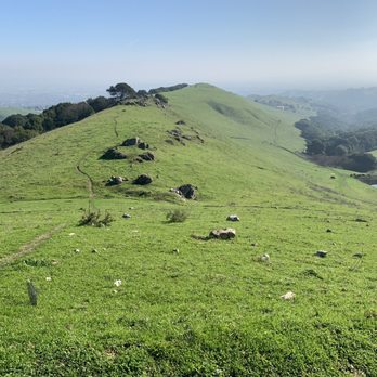 Martin Canyon Creek Trail - The beautiful view from the hike. - Hiking Near Me - Dublin, California