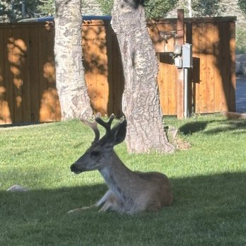 Convict Lake Resort - Hotels Near Me - Mammoth Lakes, California
