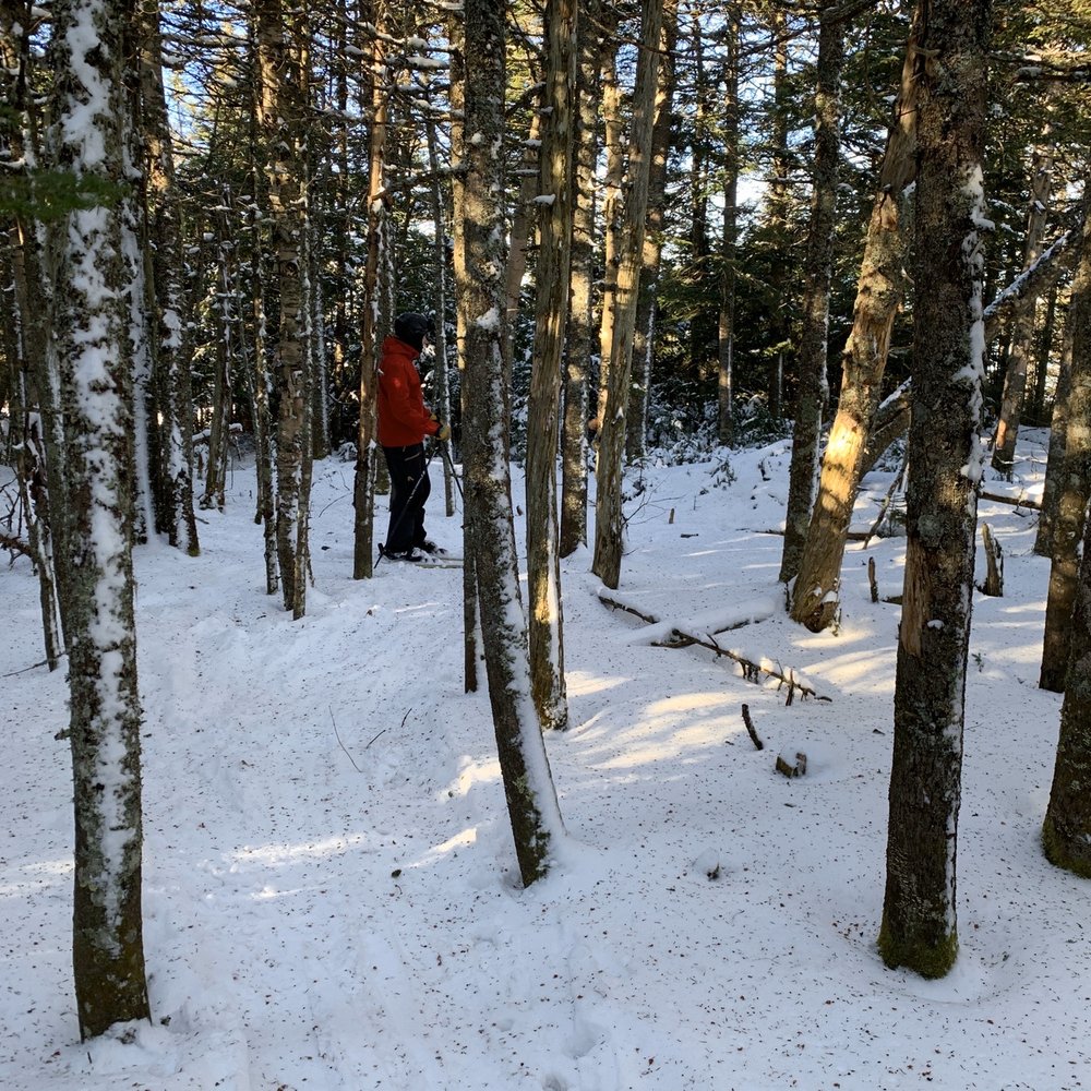 Glades Glades