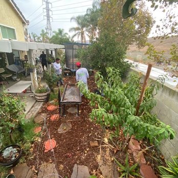 Hyperion Synthetic Turf - The jungle of nothing - Artificial Turf Near Me