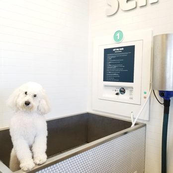 PetSmart - Pet Groomers Near Me - Phoenix, Arizona