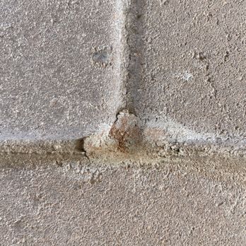 Bug Science - The image depicts a close-up view of a concrete wall surface with a rough texture. There is a visible crack running vertically along the joint, with some damage and chipping at the intersection of the wall sections. The surface shows signs of wear and weathering, with uneven coloration and small imperfections. - Pest Control Near Me