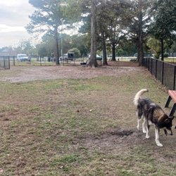 Rotary Park Dog Park - Looking back from the far end of Doug Burke